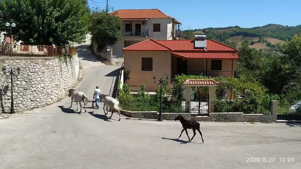 Άγιος Ακάκιος Καρδίτσας